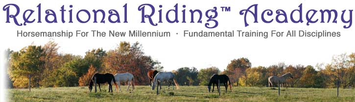 Relational Riding™ Academy - Horsemanship for the new millenium - Fundamental training for all disciplines
